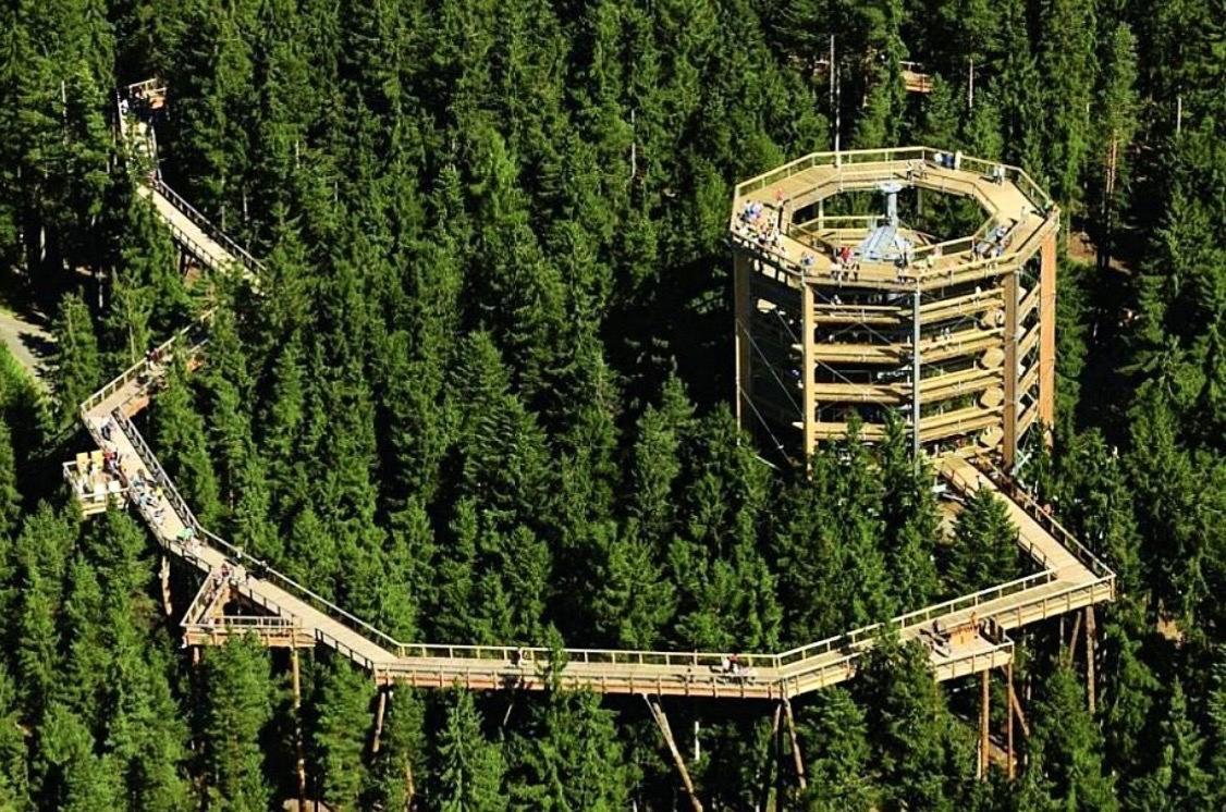 Holiday House Lipno-Slupecna ลิปโนนัดเวิลตาวู ภายนอก รูปภาพ