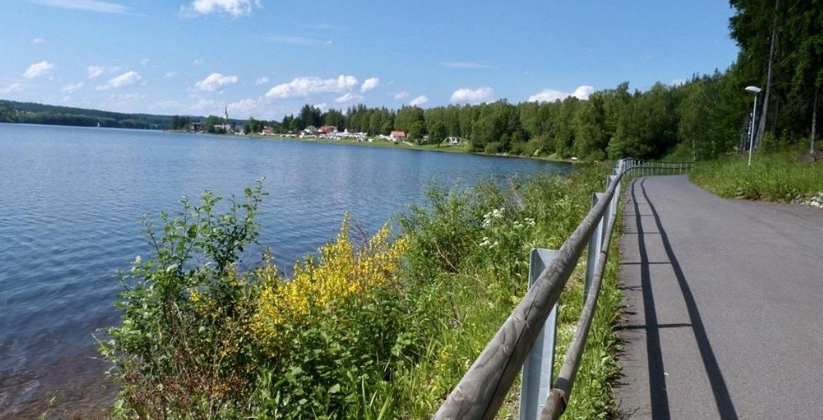 Holiday House Lipno-Slupecna ลิปโนนัดเวิลตาวู ภายนอก รูปภาพ