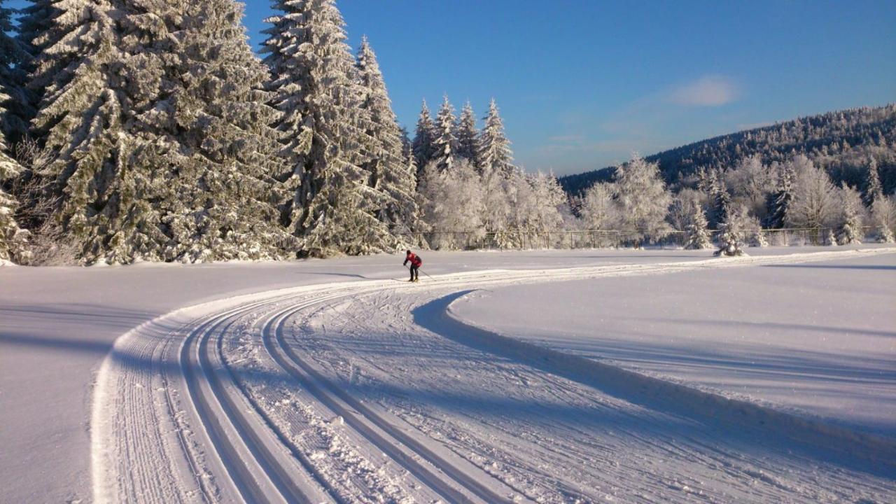 Holiday House Lipno-Slupecna ลิปโนนัดเวิลตาวู ภายนอก รูปภาพ